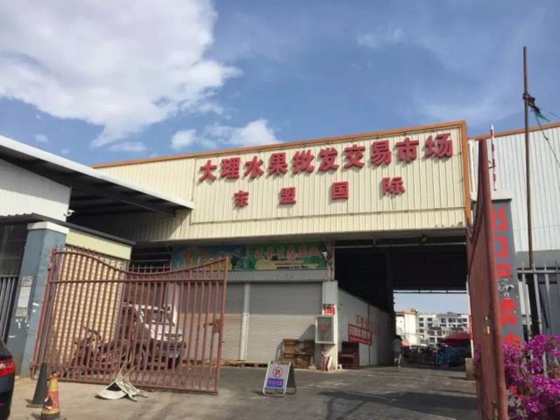 大理商贸公司:市场洞察与发展策略