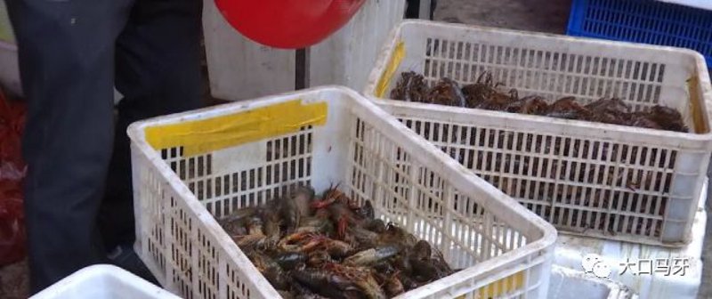 大理建材批发市场助力您实现家居梦想